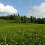 Malerhaus Am Kolbergarten * Bad Tölz