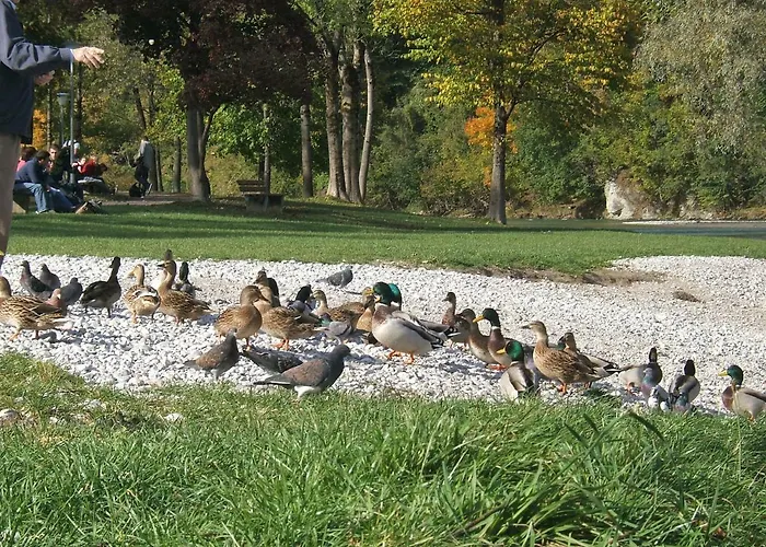 Malerhaus Am Kolbergarten شقة *